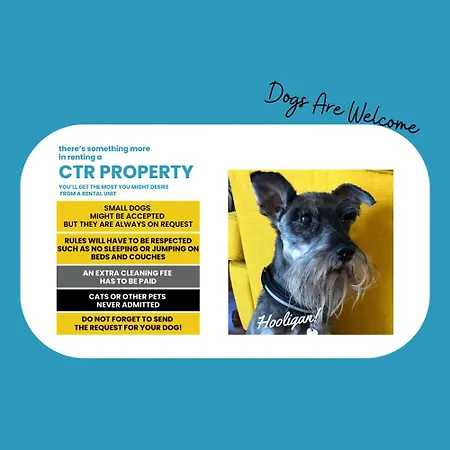 El Nin With Terrace & Ac * Βερνάτσα