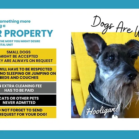 Apartamento El Nin With Terrace & Ac