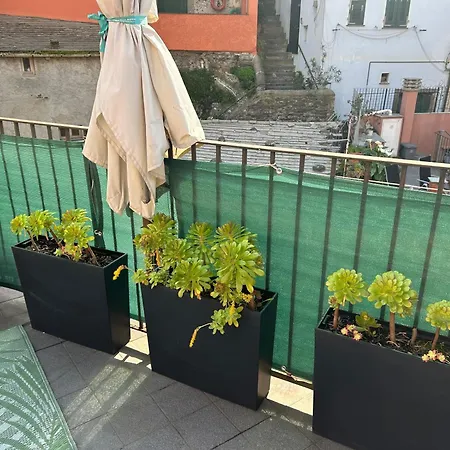 Apartament El Nin With Terrace & Ac